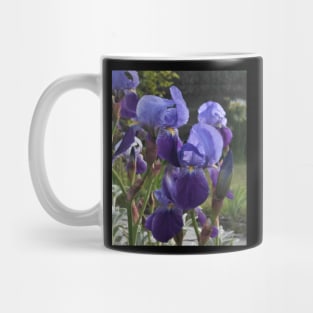 Belles - Irises Mug